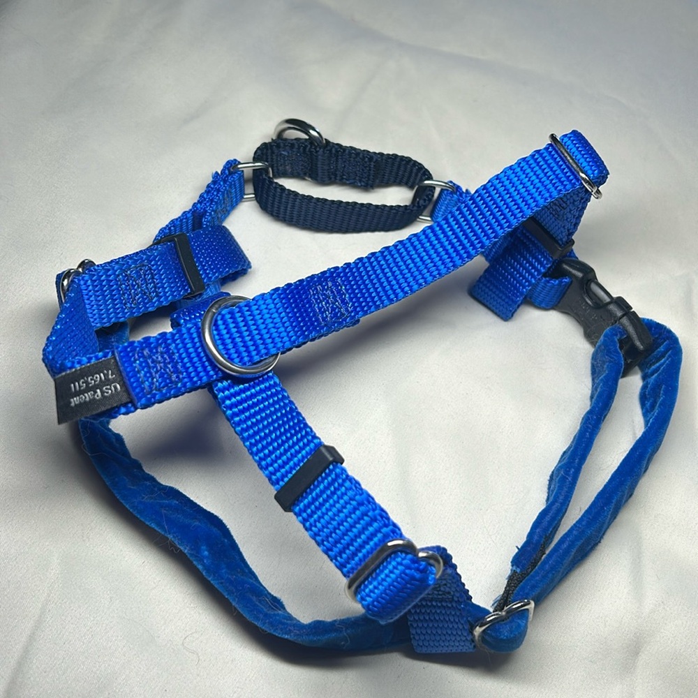 Small harness by 2 Hounds Design